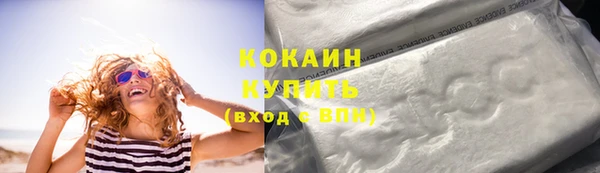 прущие грибы Медногорск