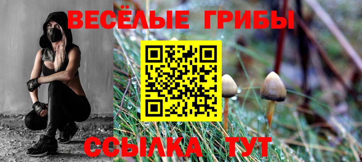 Псилоцибиновые грибы Cubensis  Вход с VPN  Галлюциногенные грибы GOLDEN TEACHER  Хабаровск 